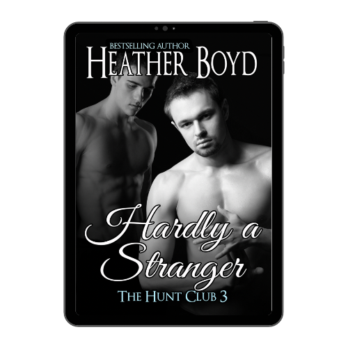 Hardly a Stranger - eBook